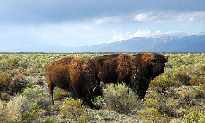 Un viaggio tra il Colorado e il vecchio West Forexchange