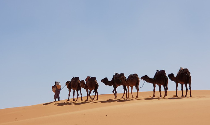 Quanto costa un viaggio in Marocco: scopriamo il budget medio previsto Forexchange
