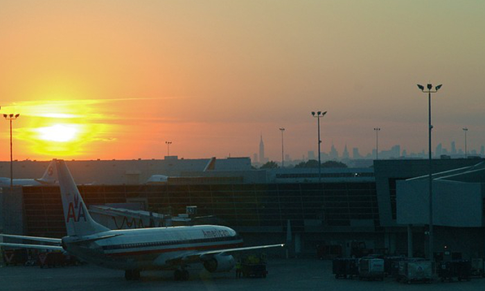 Aeroporto JFK di New York dal 2016 uno spazio per gli animali Forexchange