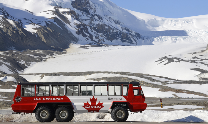 Autobus Forexchange