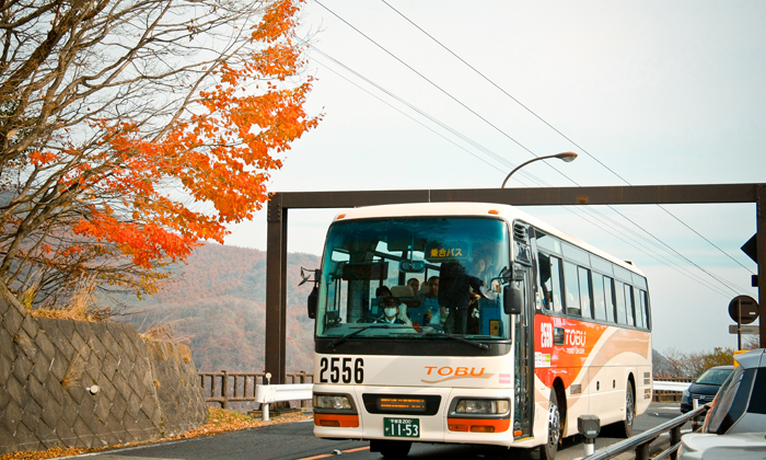 Autobus Forexchange