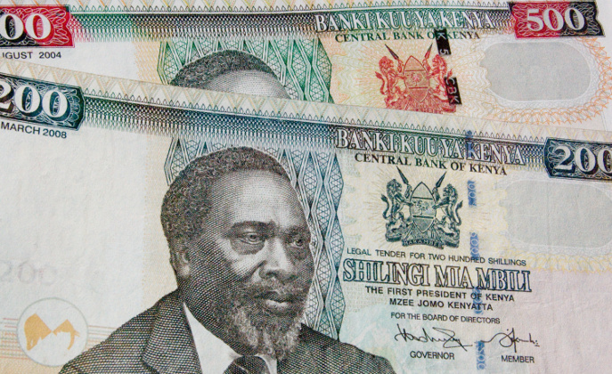 Cambio euro scellino keniota: dove e come effettuarlo in modo conveniente Forexchange