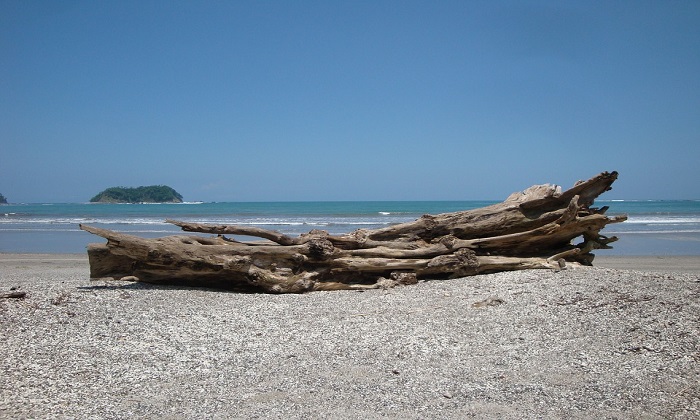 Mangiare in Costa Rica: alla scoperta dei piatti locali Forexchange
