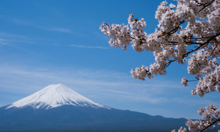 Alla conquista del Monte Fuji: come organizzare l’escursione Forexchange