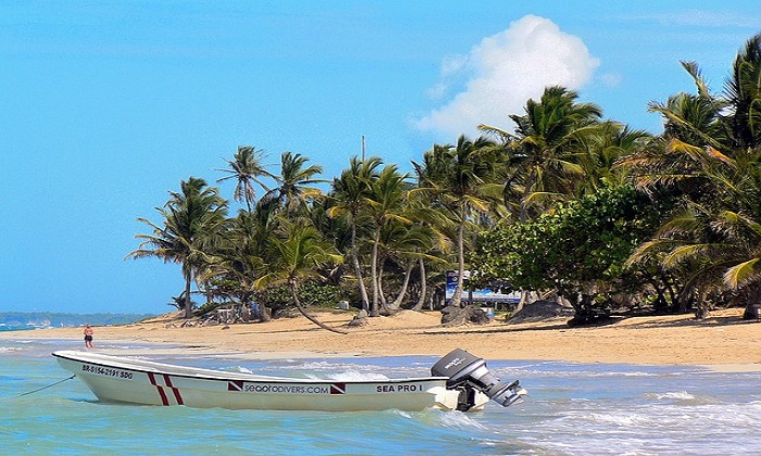 La moneta in uso nella Repubblica Dominicana: il peso dominicano Forexchange