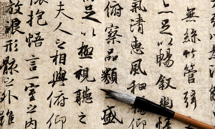 Lingua Forexchange