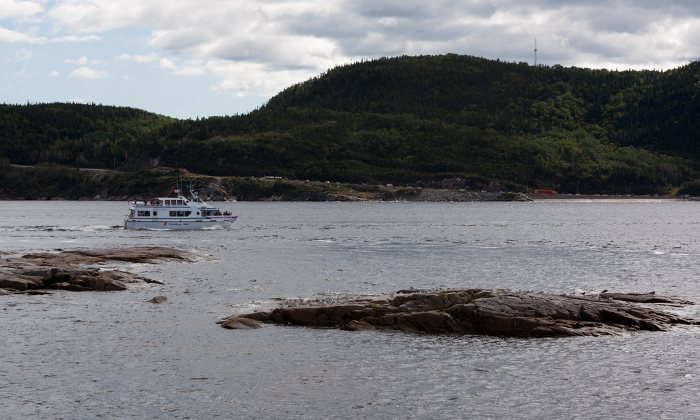 L’emozione del whale watching nel fiume San Lorenzo in Canada Forexchange